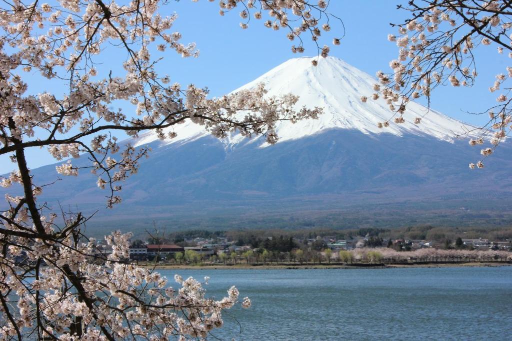 Ururun Kawaguchiko Villa Fujikawaguchiko Buitenkant foto